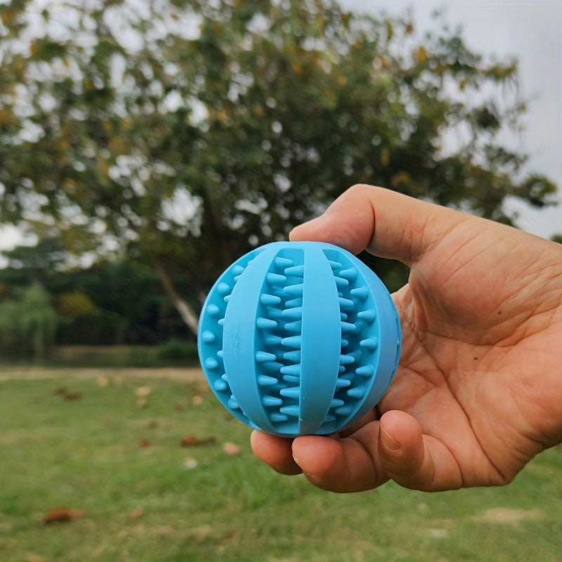 Dog Ball Toy