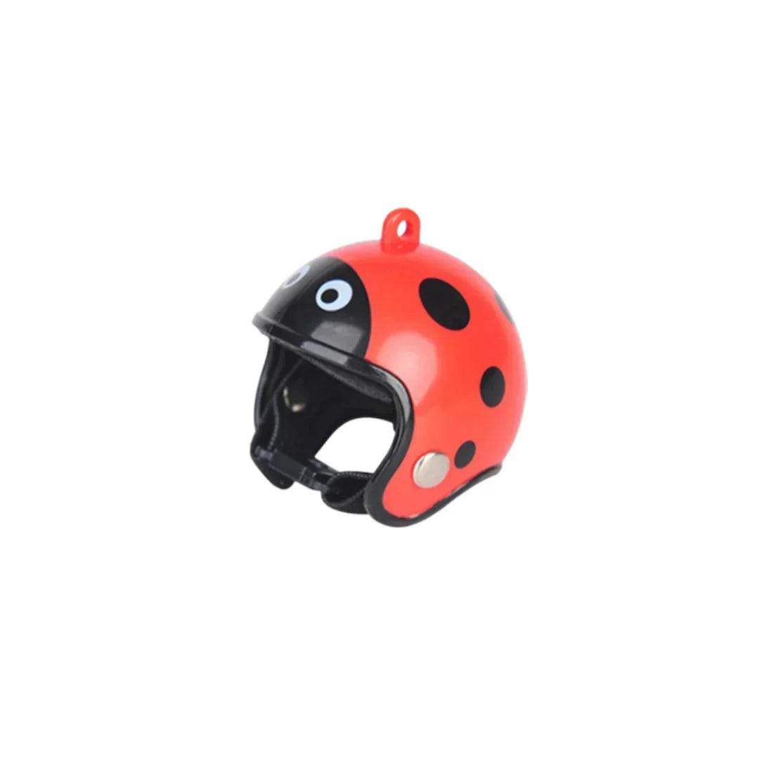 Bird/Chicken Helmet
