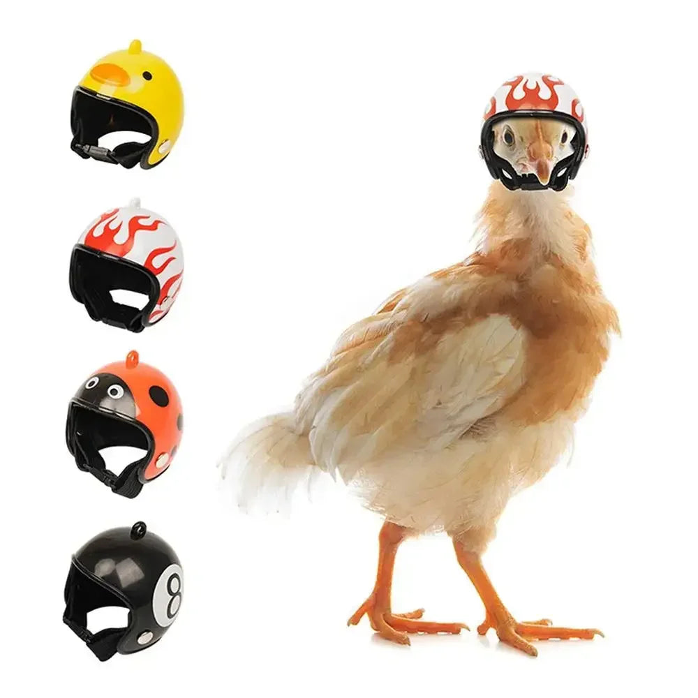 Bird/Chicken Helmet