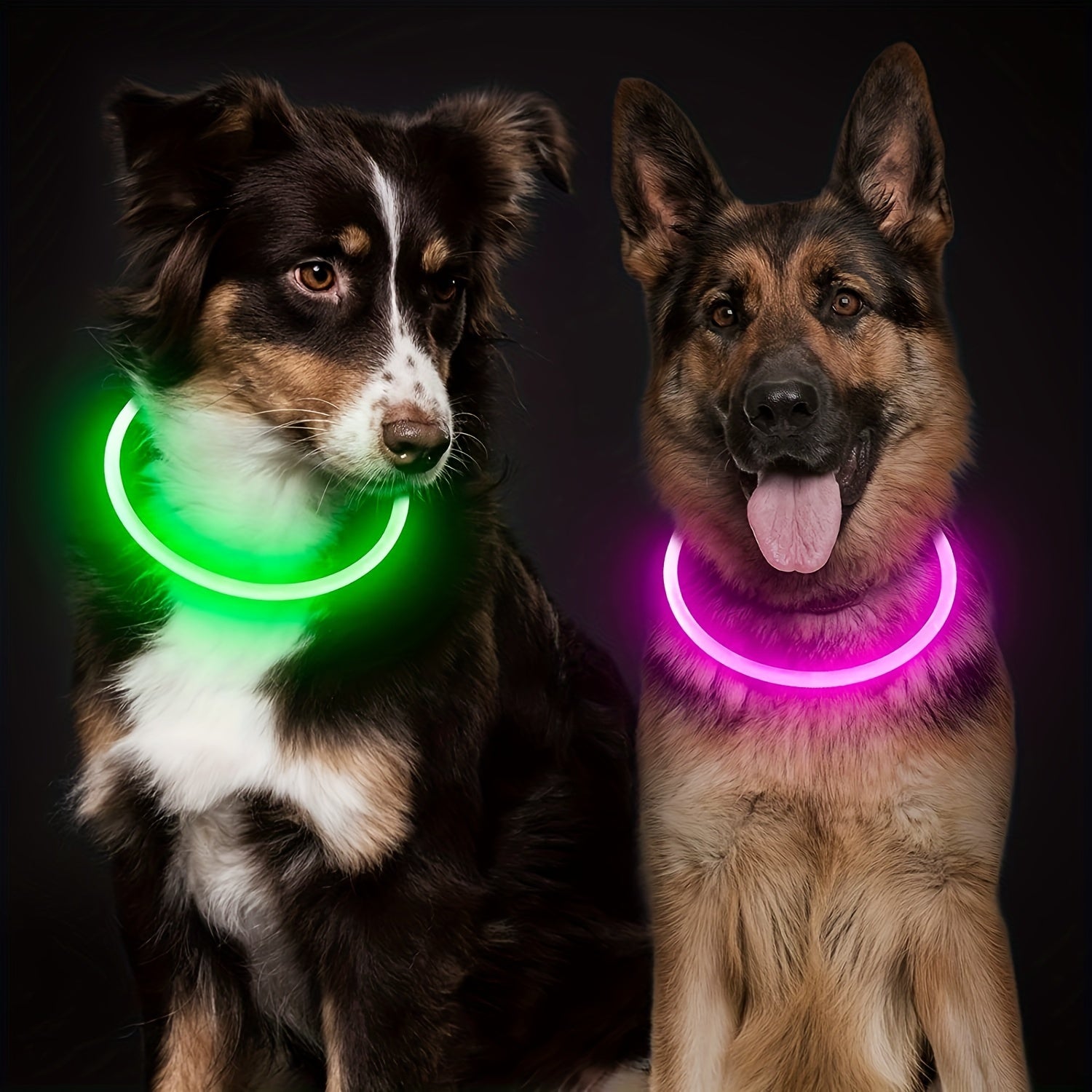 USB Rechargeable LED Dog Collar
