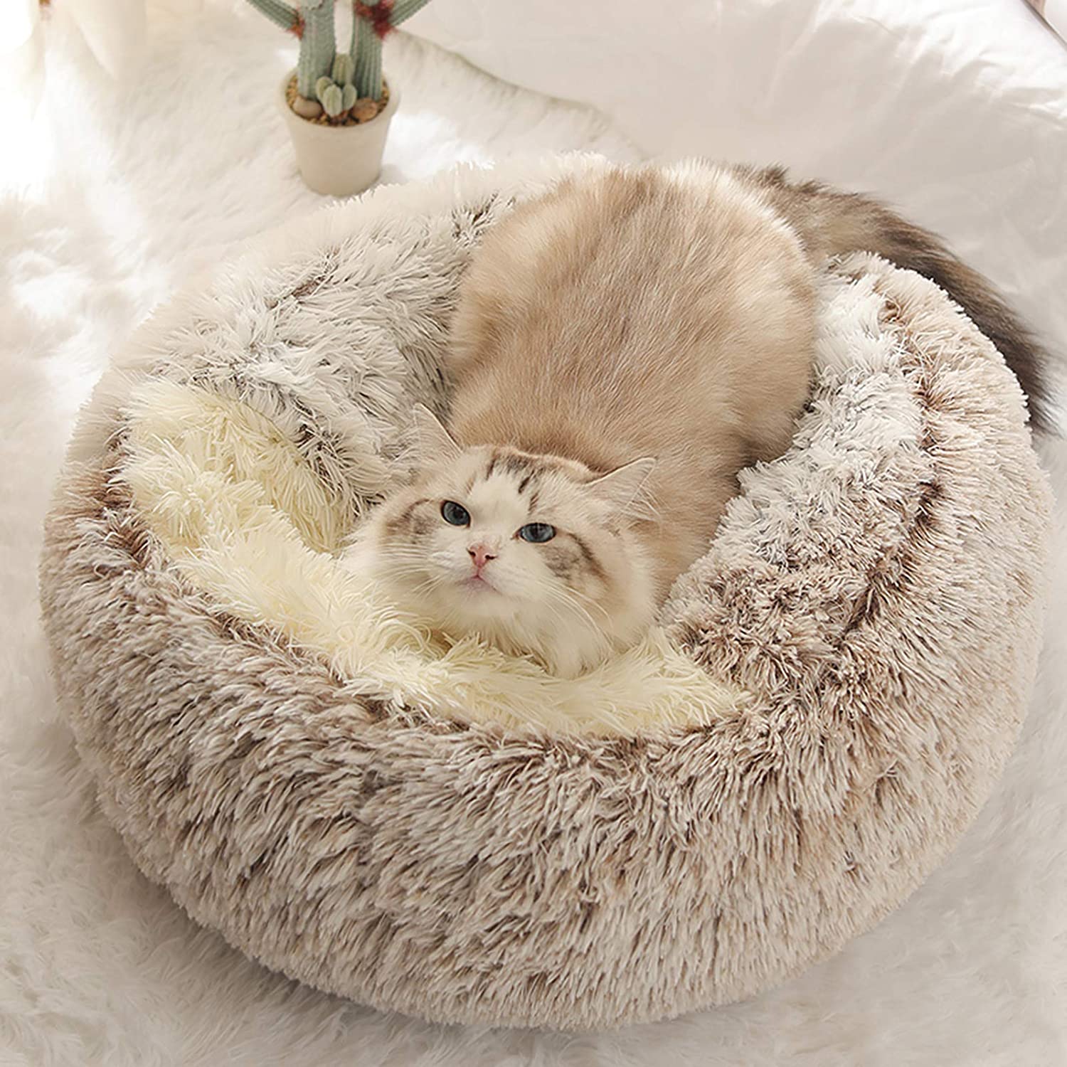 Winter 2-in-1 Cat Nest Bed