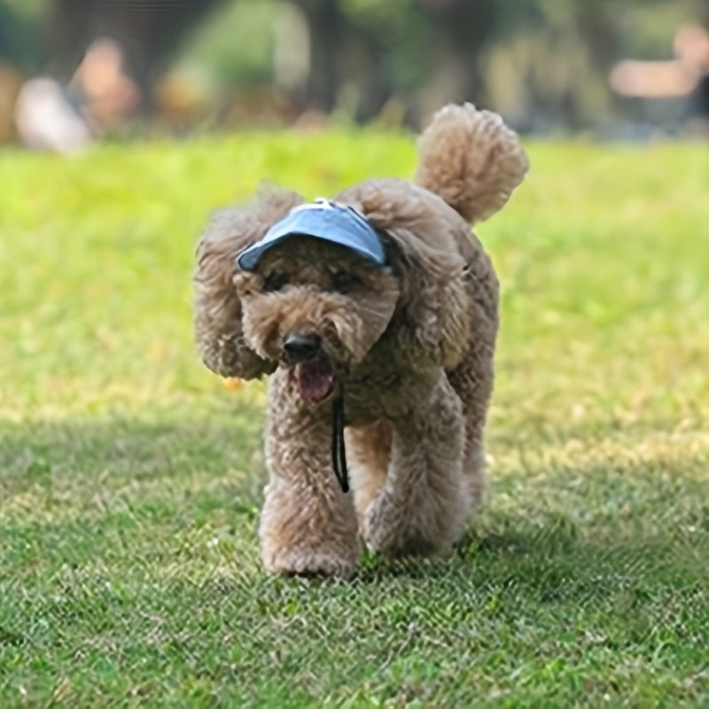 Pet Baseball Cap for Dogs and Cats
