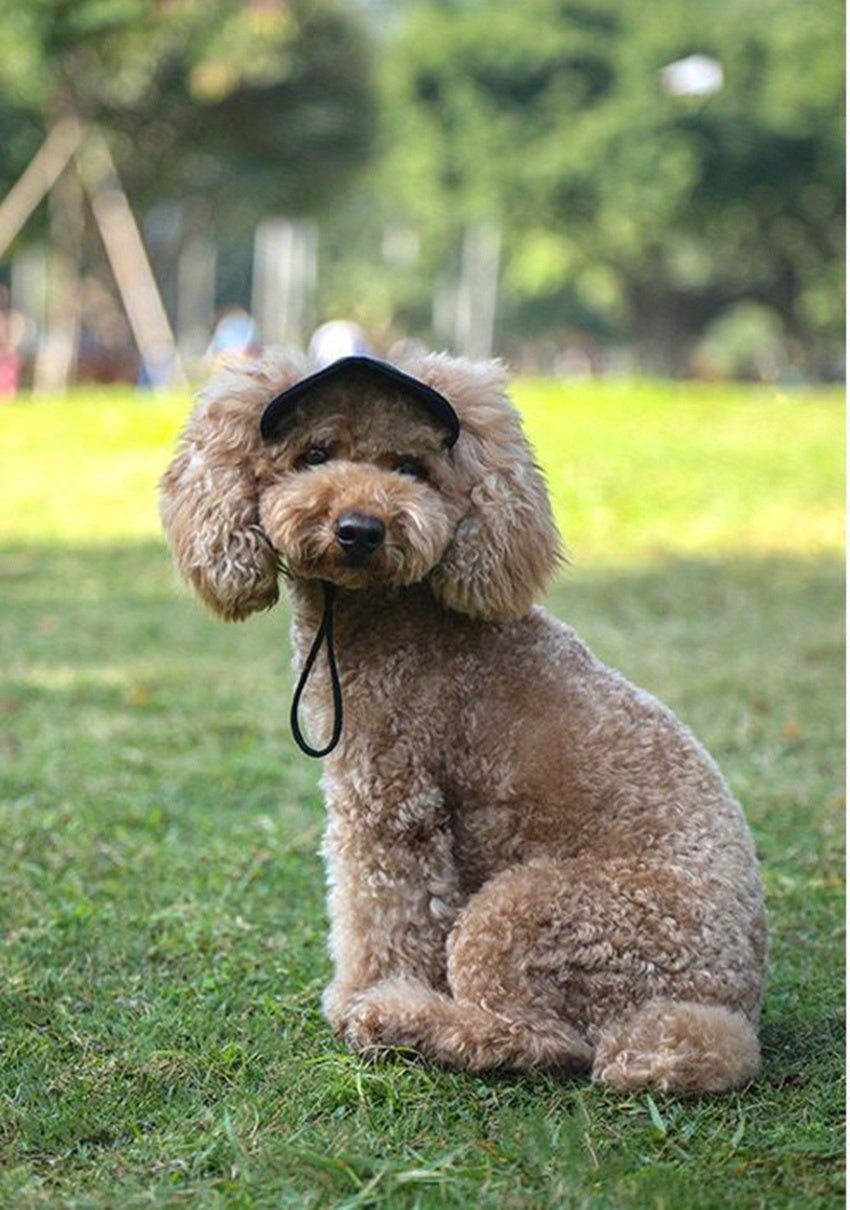 Pet Baseball Cap for Dogs and Cats