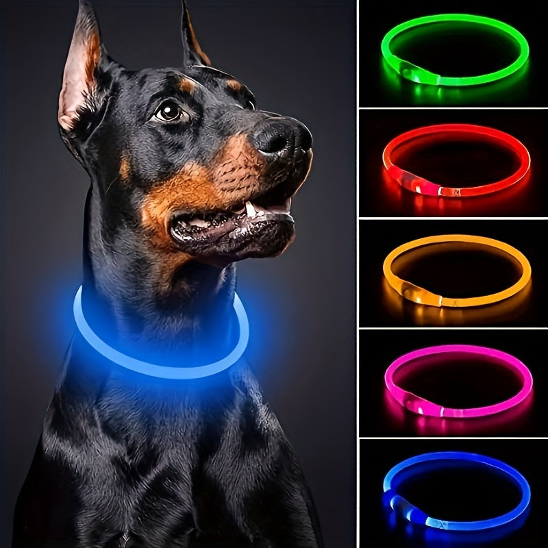 USB Rechargeable LED Dog Collar