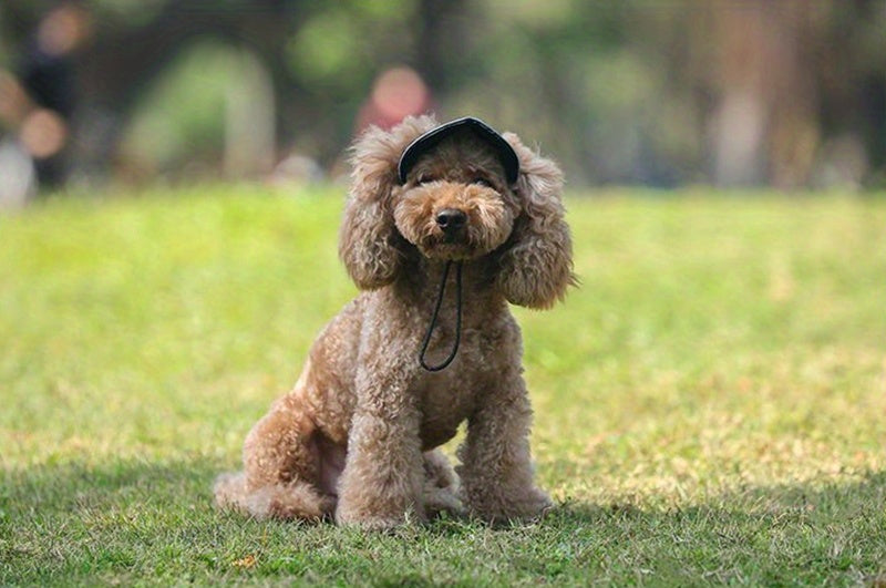 Pet Baseball Cap for Dogs and Cats