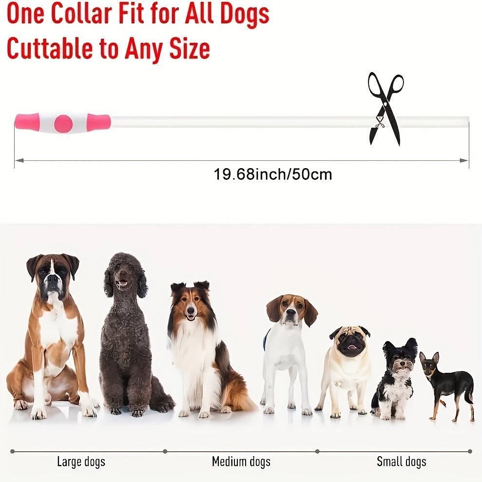 USB Rechargeable LED Dog Collar