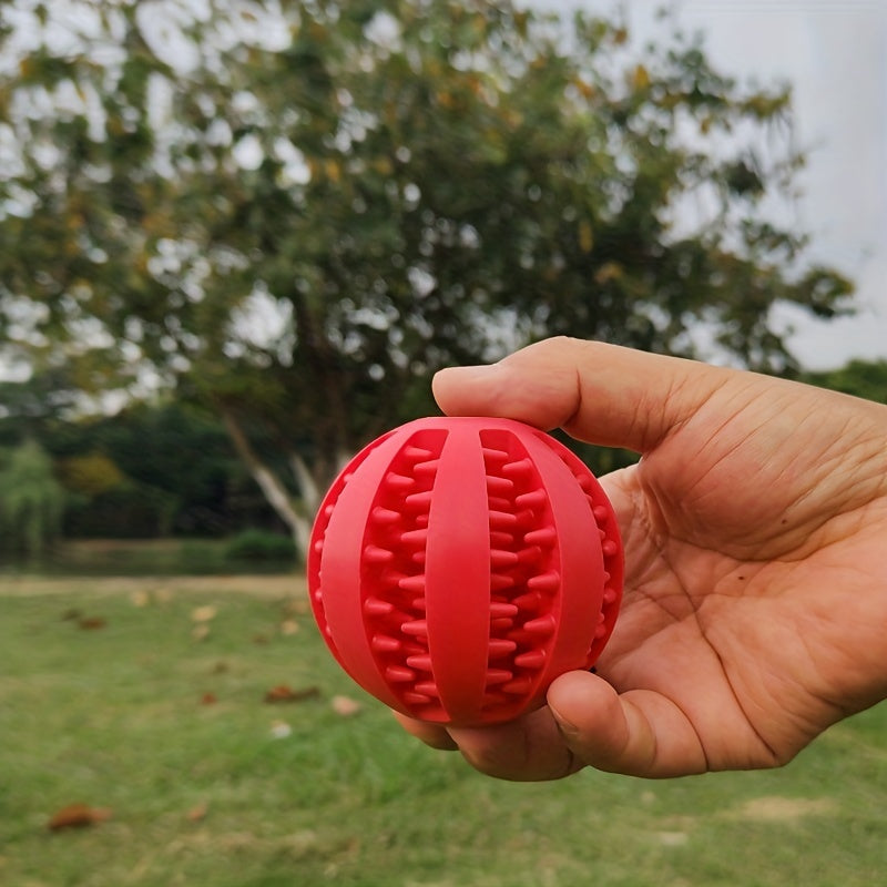 Dog Ball Toy