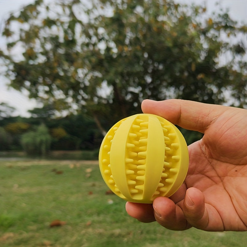 Dog Ball Toy