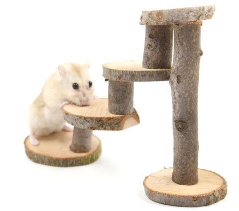 Hamster Climbing Wood Ladder