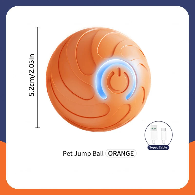 USB Smart Ball Dog Toy