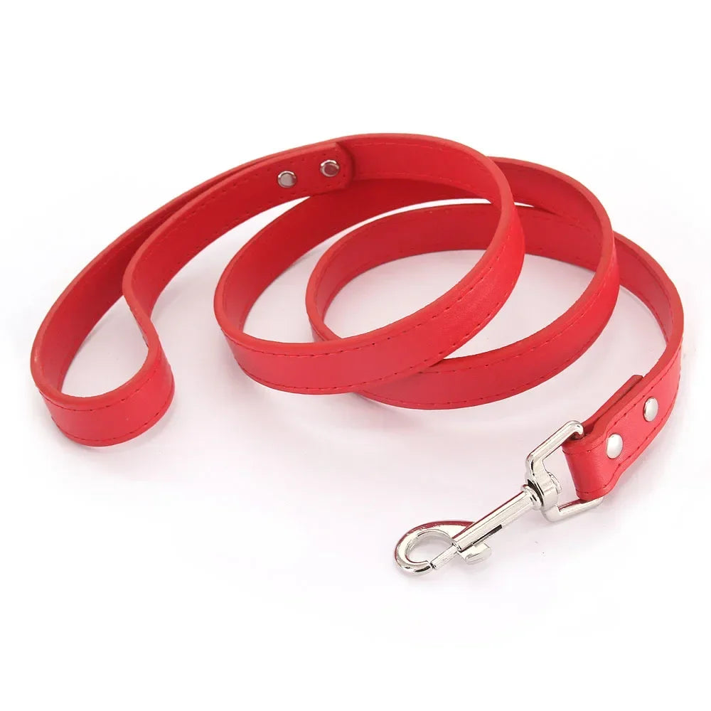 Leather Cat & Dog Leash - 1.2M