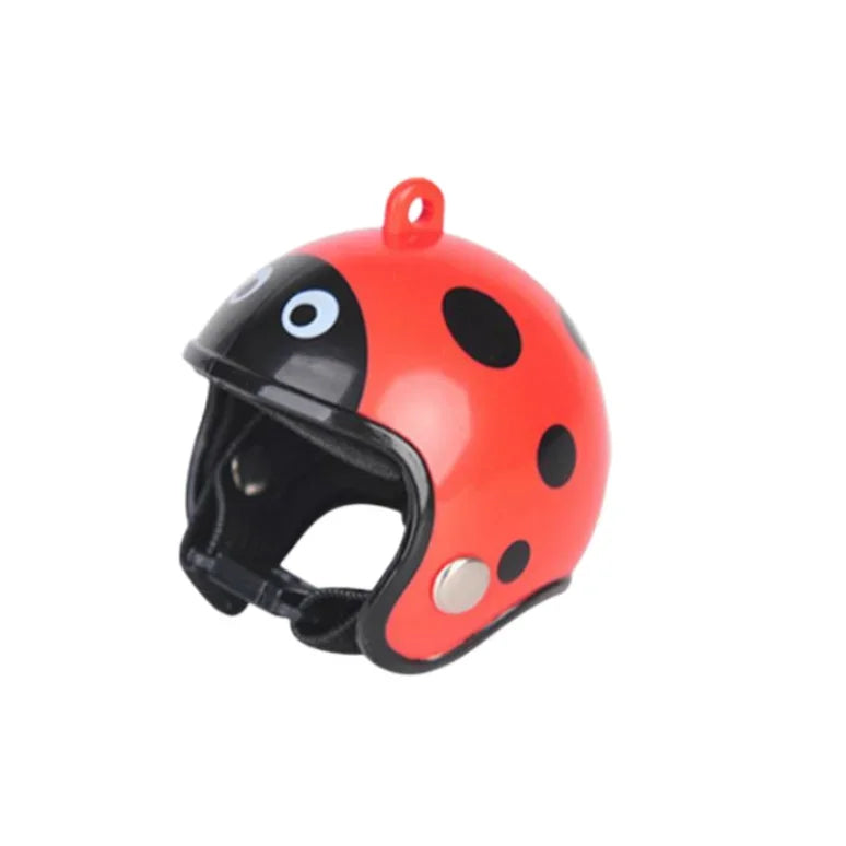 Bird/Chicken Helmet