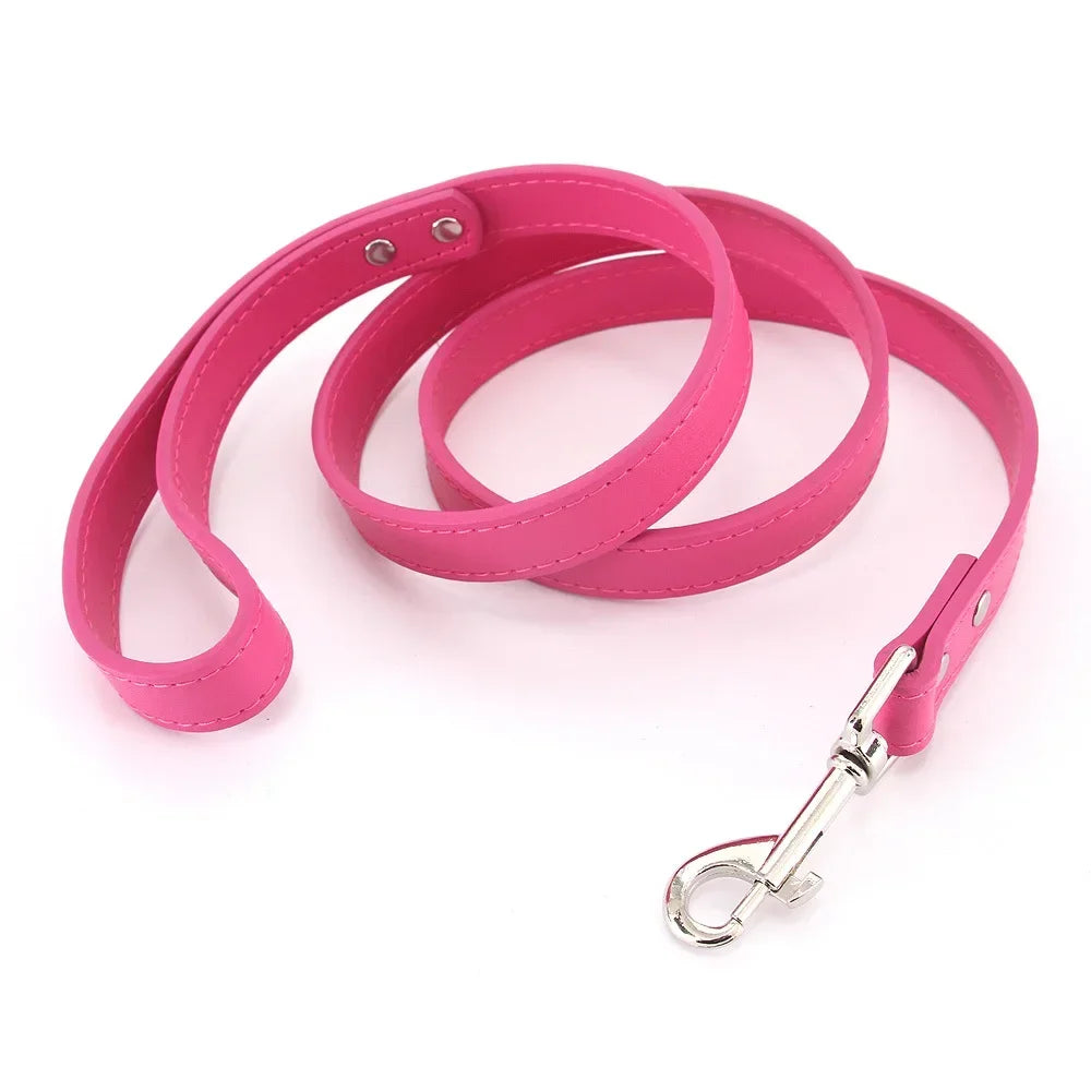 Leather Cat & Dog Leash - 1.2M