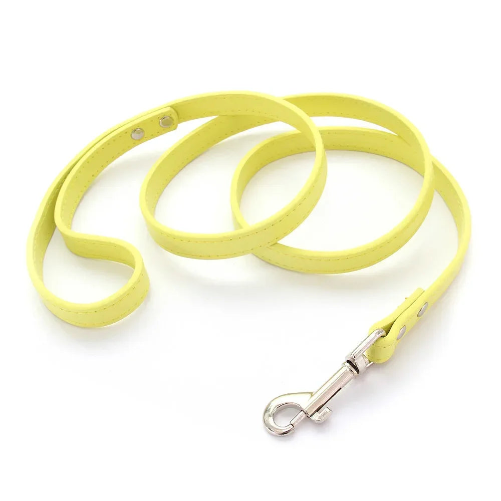 Leather Cat & Dog Leash - 1.2M