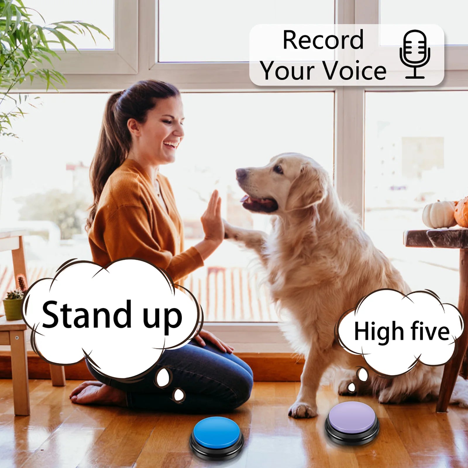 Recordable Voice Pet Training Button