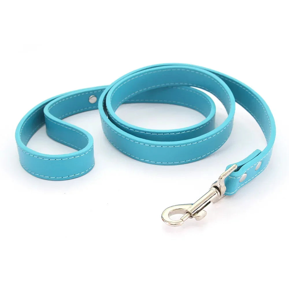 Leather Cat & Dog Leash - 1.2M