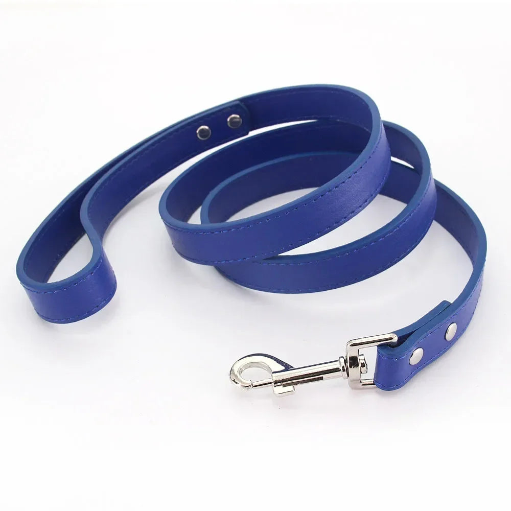 Leather Cat & Dog Leash - 1.2M
