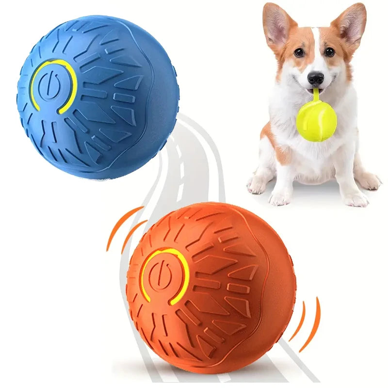 USB Smart Ball Dog Toy