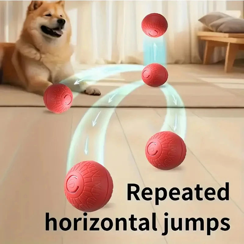 USB Smart Ball Dog Toy