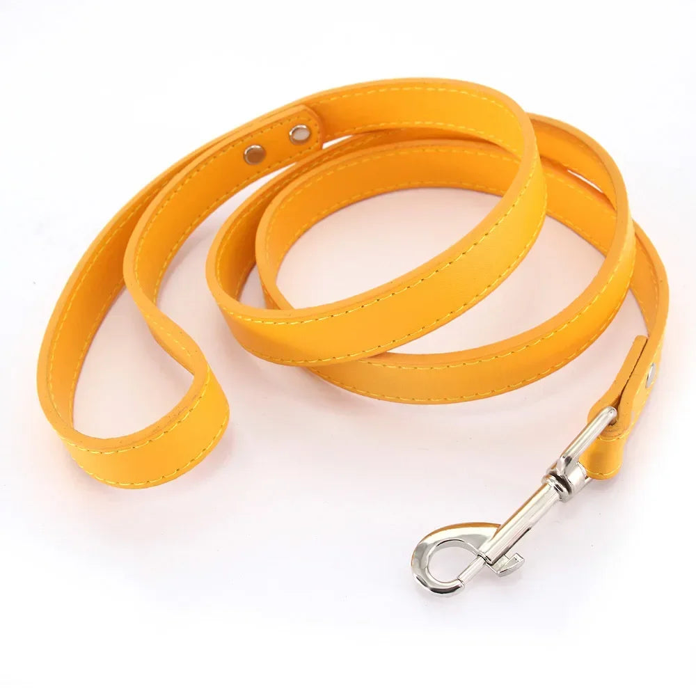 Leather Cat & Dog Leash - 1.2M