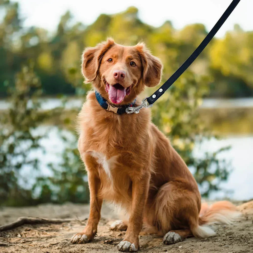 Leather Cat & Dog Leash - 1.2M