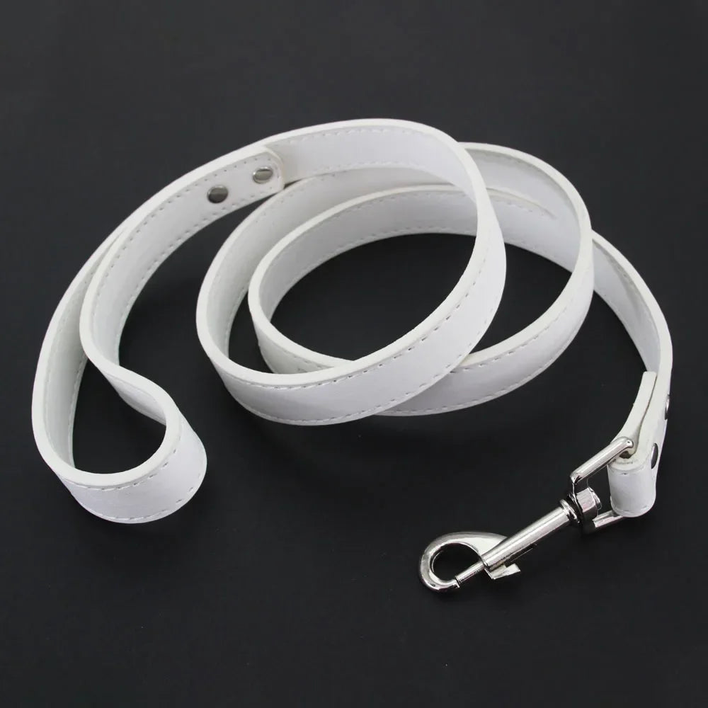 Leather Cat & Dog Leash - 1.2M