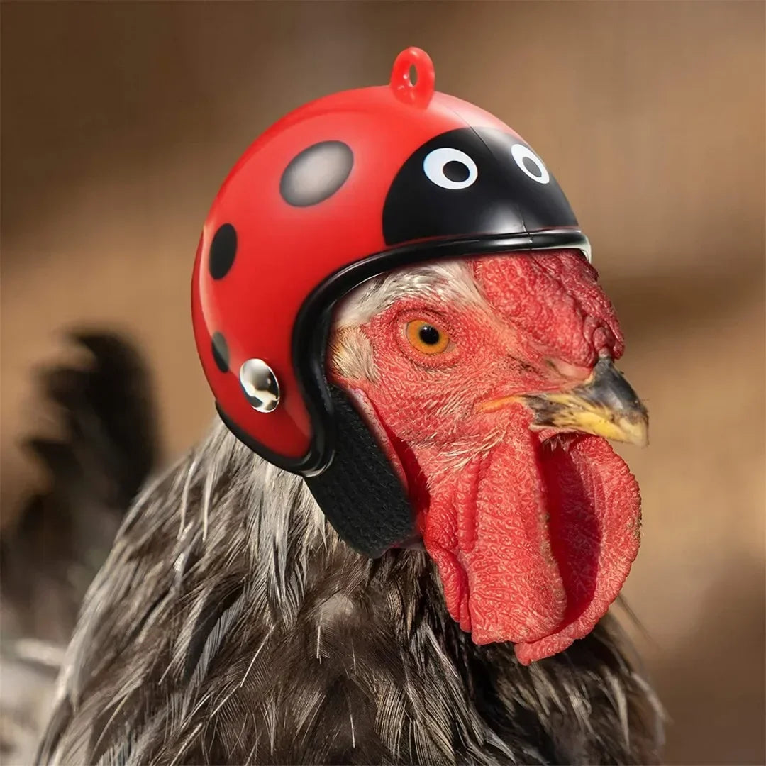 Bird/Chicken Helmet