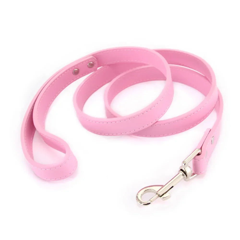 Leather Cat & Dog Leash - 1.2M