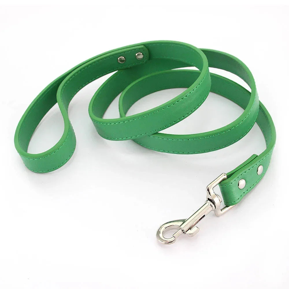 Leather Cat & Dog Leash - 1.2M