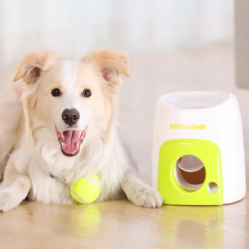 Interactive Training Tennis Ball Feeder