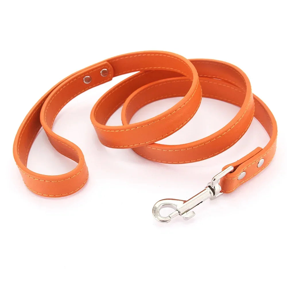 Leather Cat & Dog Leash - 1.2M