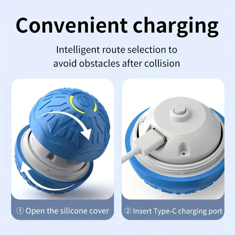 USB Smart Ball Dog Toy