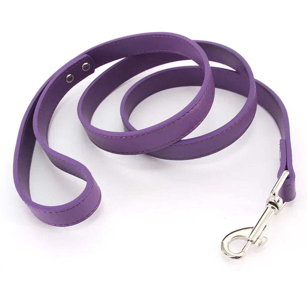 Leather Cat & Dog Leash - 1.2M
