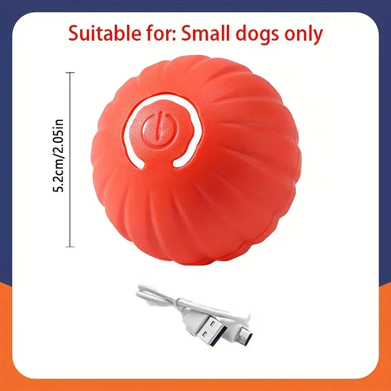 USB Smart Ball Dog Toy