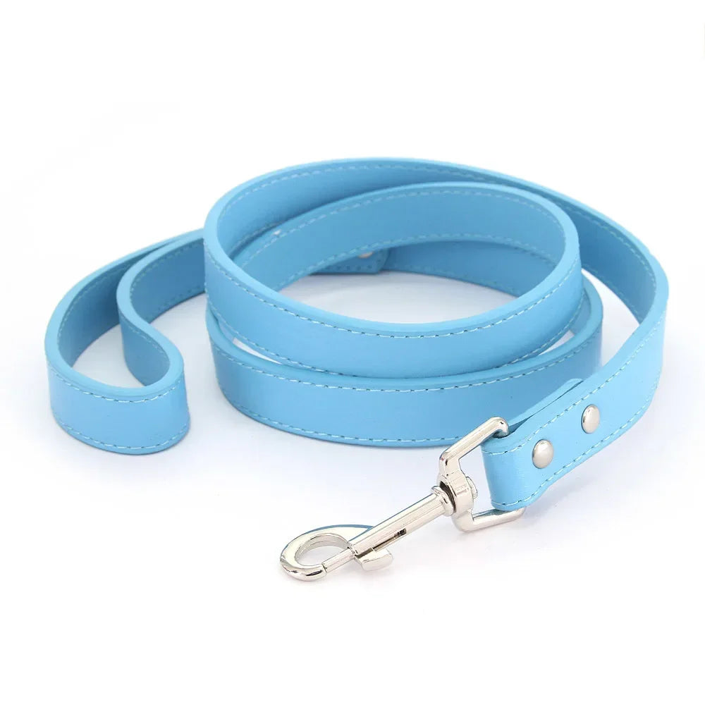 Leather Cat & Dog Leash - 1.2M