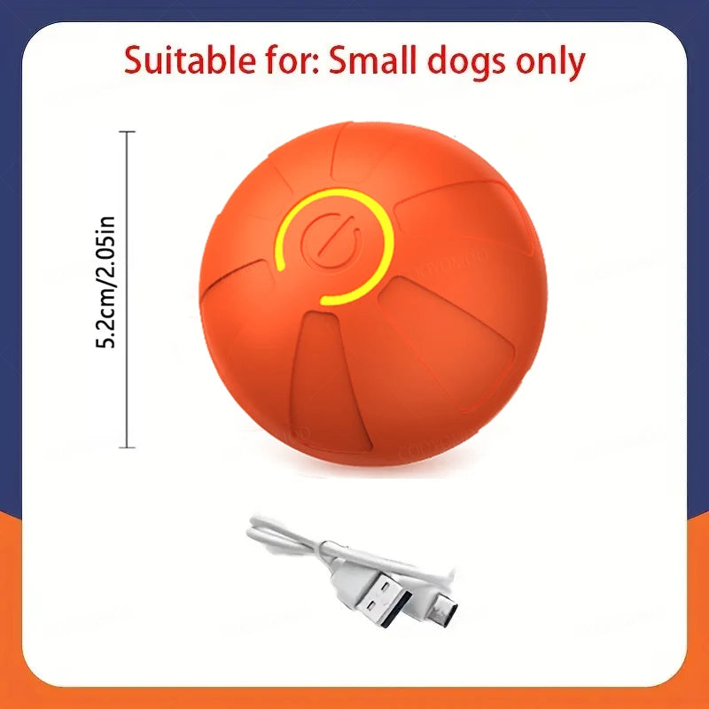 USB Smart Ball Dog Toy