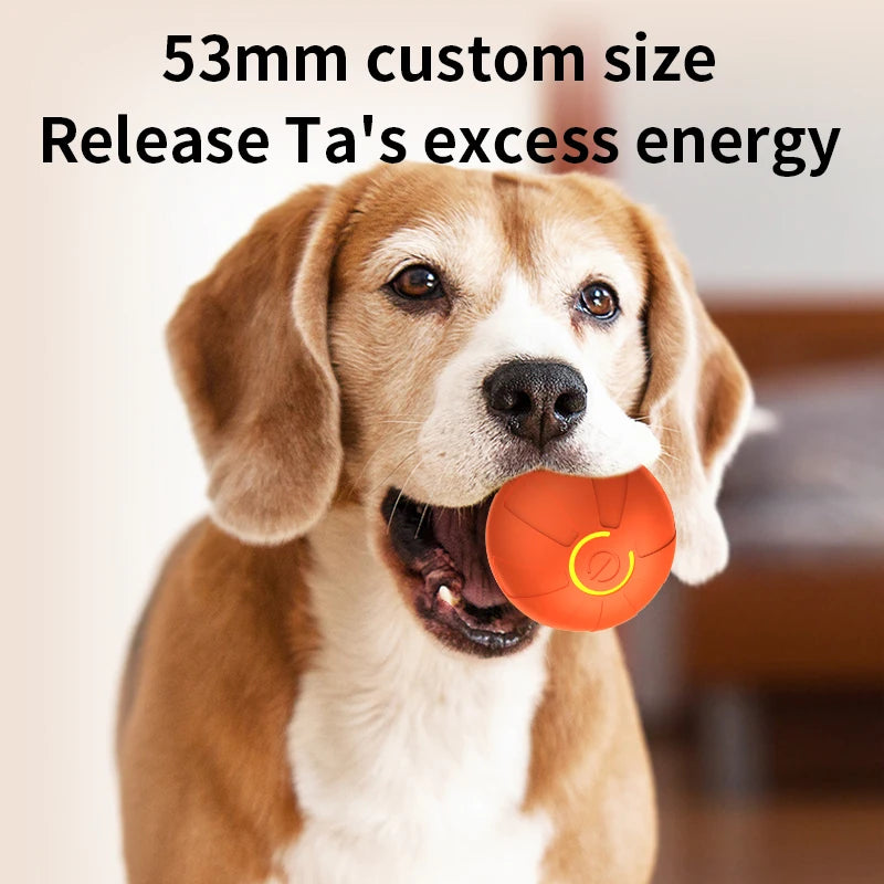 USB Smart Ball Dog Toy