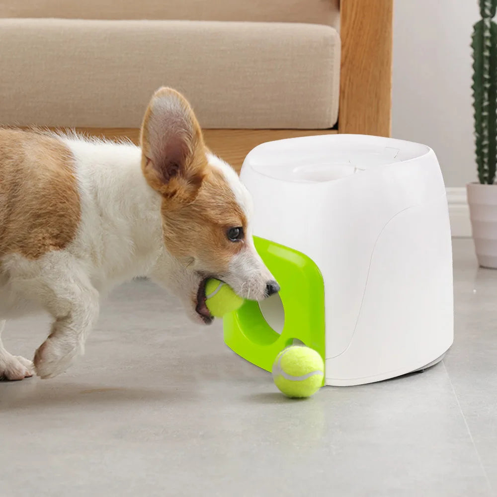 Interactive Training Tennis Ball Feeder