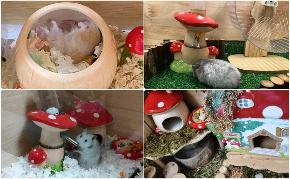 Mushroom Hamster Hideout with Water Bottle