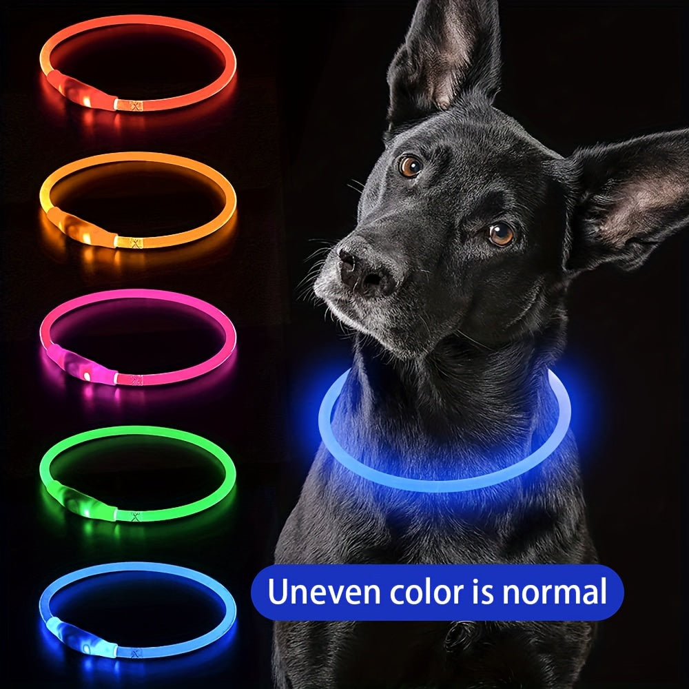 USB Rechargeable LED Dog Collar