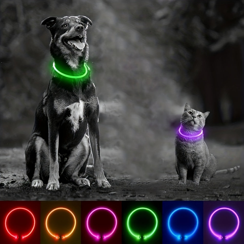 USB Rechargeable LED Dog Collar