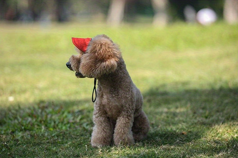 Pet Baseball Cap for Dogs and Cats